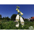 Digitalis purpurea ‘Alba’